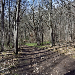 на Орлиную полку (53)